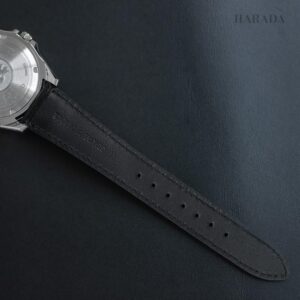 【世界限定200本】 AQ4090-08A The CITIZEN ザ・シチズン 特定店限定モデル
