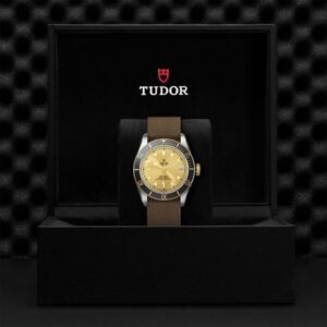 M79733N-0006 TUDOR チューダー ブラックベイ S&G