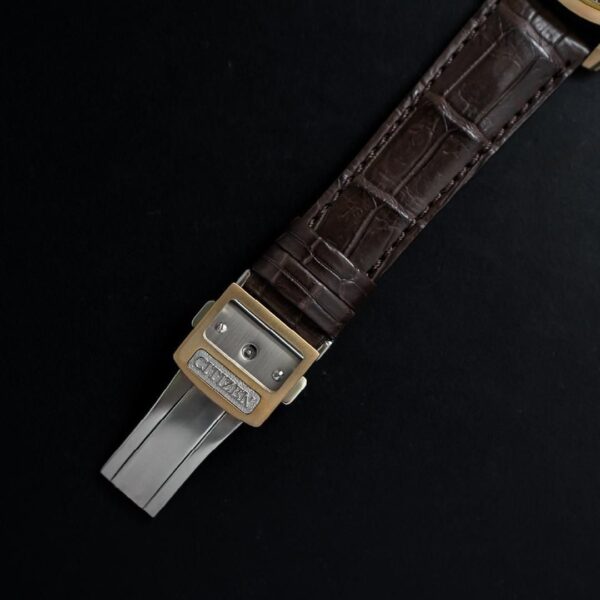【世界限定400本】 AQ4103-16W The CITIZEN ザ・シチズン Iconic Nature Collection 「秋」 The CITIZEN30周年記念限定モデル