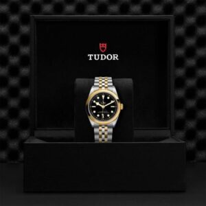 M79643-0001 TUDOR チューダー ブラックベイ ワン 36 S&G