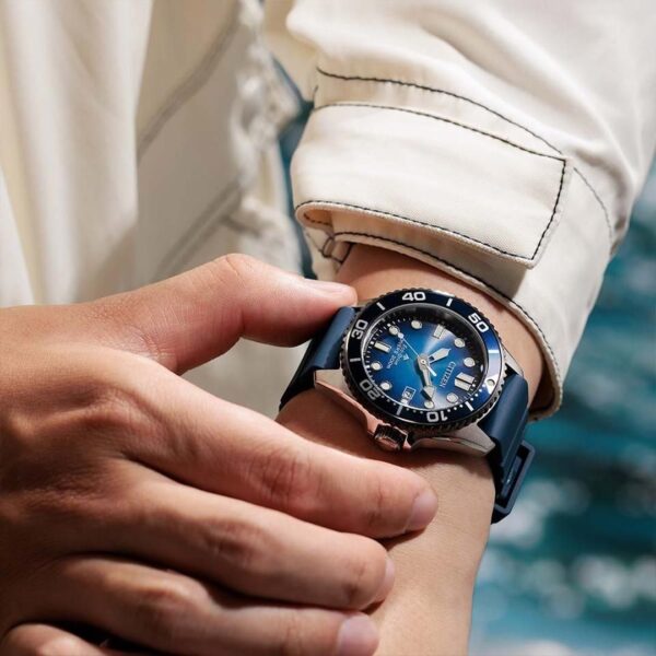 BN0267-04L CITIZEN シチズン プロマスター MARINE