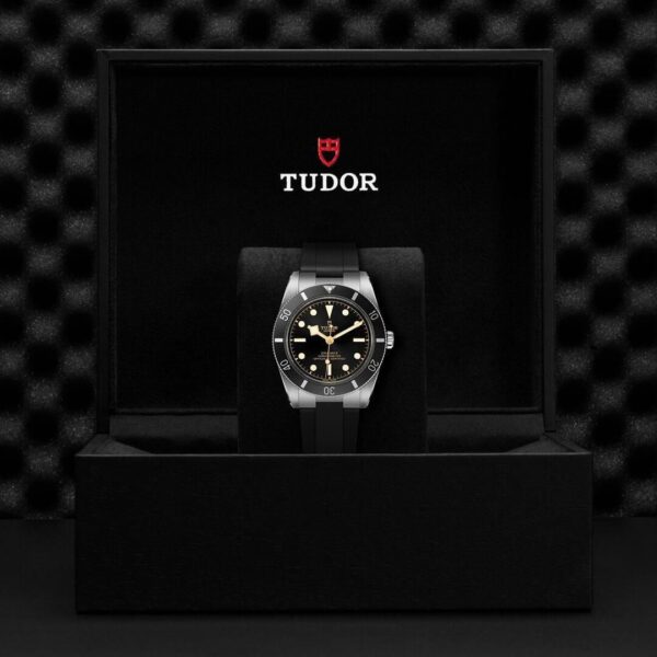 M79000N-0002 TUDOR チューダー ブラックベイ 54