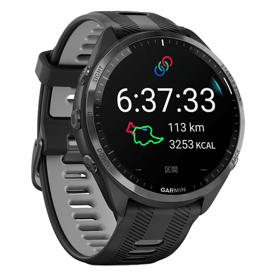 010-02809-60 GARMIN ガーミン フォアランナー 965