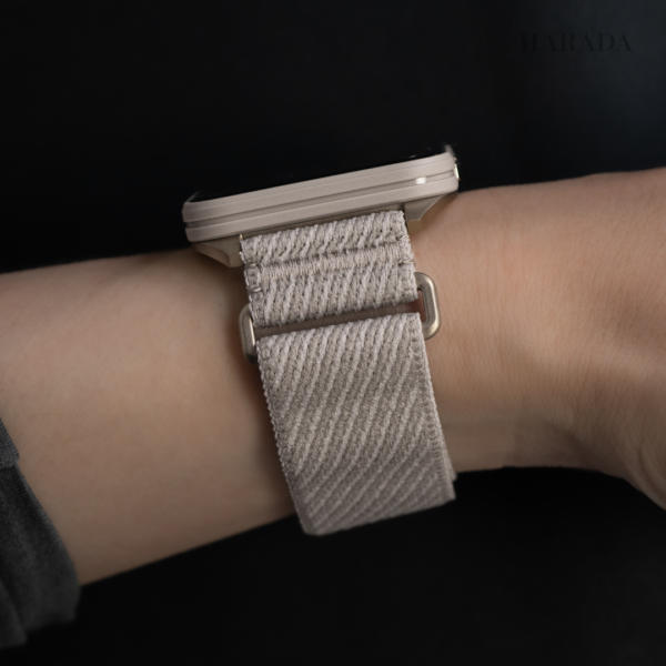 GARMIN ガーミン Venu X1 ベニュー 010-02980-32 French Gray