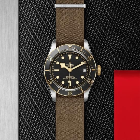 M79733N-0005 TUDOR チューダー ブラックベイ S&G
