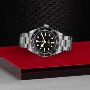 M79030N-0001 TUDOR チューダー ブラックベイ 58
