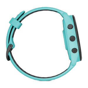 010-02810-42 GARMIN ガーミン フォアランナー 265