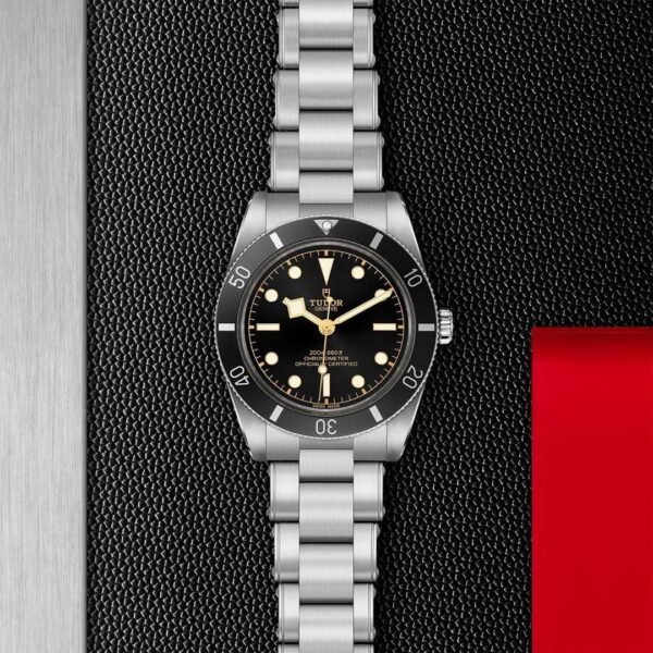 M79000N-0001 TUDOR チューダー ブラックベイ 54