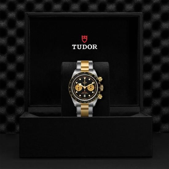 M79363N-0001 TUDOR チューダー ブラックベイ クロノ S&G