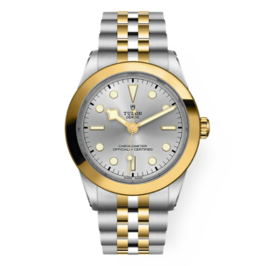 M79663-0002 TUDOR チューダー ブラックベイ ワン 39 S&G