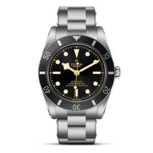 M79000N-0001 TUDOR チューダー ブラックベイ 54