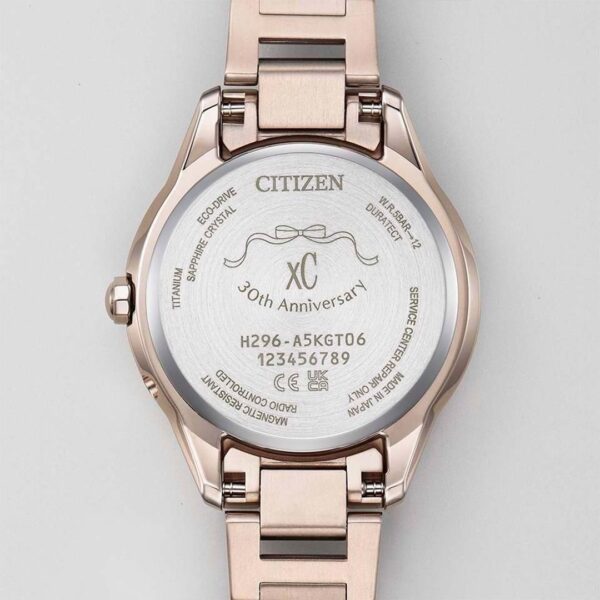 【世界限定1,300本】 EE1004-81N CITIZEN シチズン クロスシー daichi collection