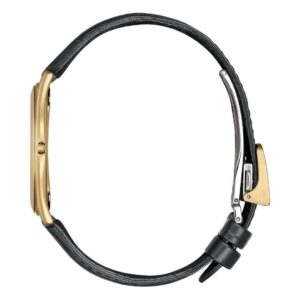 【世界限定250本】 AQ5022-02L CITIZEN シチズン エコ・ドライブ ワン
