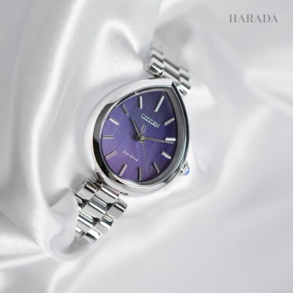 EM1200-55X CITIZEN シチズン シチズンエル RAINELL Collection