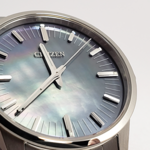 【世界限定200本】 AQ6020-53X The CITIZEN ザ・シチズン 特定店限定モデル
