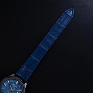 【世界限定300本】 AQ4106-26L The CITIZEN ザ・シチズン 特定店限定モデル The CITIZEN 30周年記念モデル