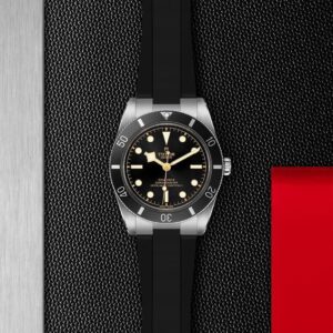 M79000N-0002 TUDOR チューダー ブラックベイ 54