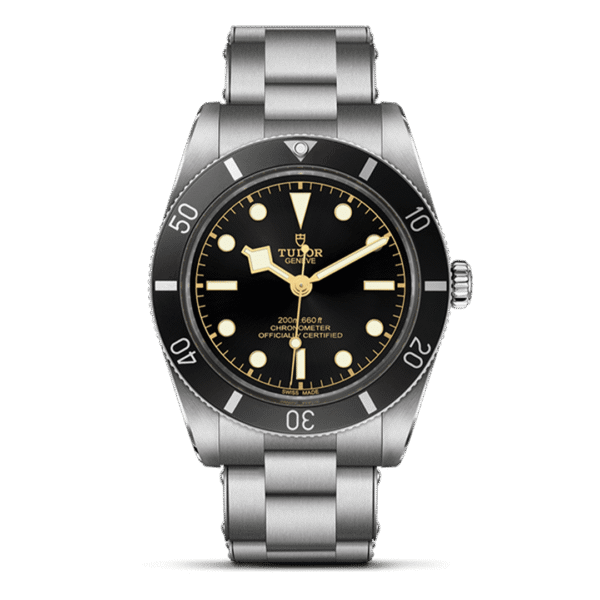 M79000N-0001 TUDOR チューダー ブラックベイ 54
