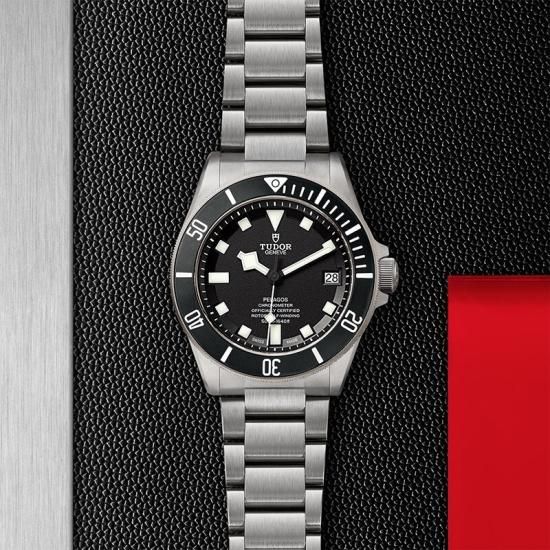 M25600TN-0001 TUDOR チューダー ペラゴス