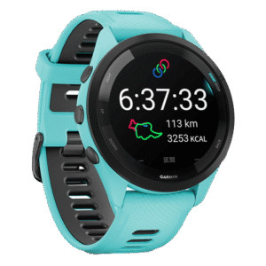 010-02810-42 GARMIN ガーミン フォアランナー 265