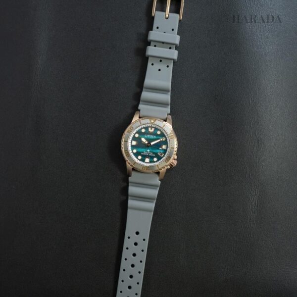 【世界限定3,400本】 EO2023-00W CITIZEN シチズン プロマスター MARINE