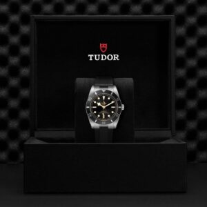 M79000N-0002 TUDOR チューダー ブラックベイ 54