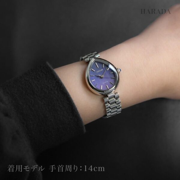 EM1200-55X CITIZEN シチズン シチズンエル RAINELL Collection