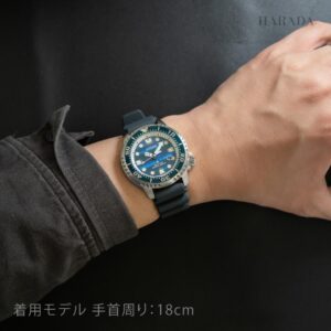 【世界限定8,700本】 BN0167-09W CITIZEN シチズン プロマスター MARINE