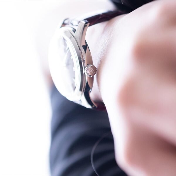 SBGW287 Grand Seiko グランドセイコー 9Sメカニカル『暮秋』