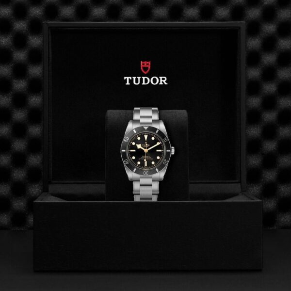M79000N-0001 TUDOR チューダー ブラックベイ 54