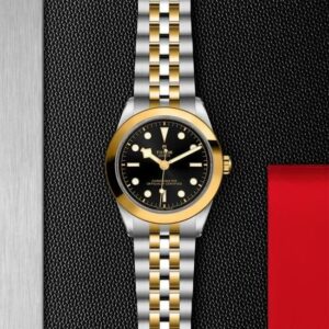 M79663-0001 TUDOR チューダー ブラックベイ ワン 39 S&G