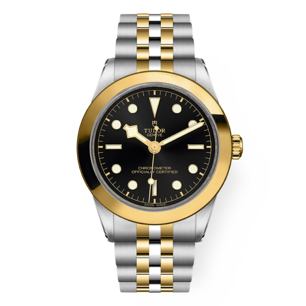 M79663-0001 TUDOR チューダー ブラックベイ ワン 39 S&G