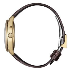 【世界限定400本】 AQ4103-16W The CITIZEN ザ・シチズン Iconic Nature Collection 「秋」 The CITIZEN30周年記念限定モデル
