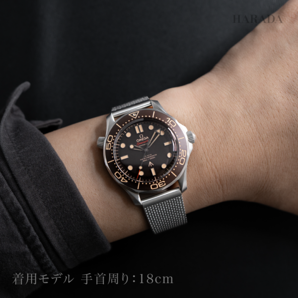 210.90.42.20.01.001 OMEGA オメガ シーマスター ダイバー300M 007エディション