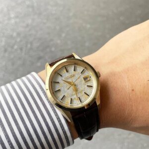 【世界限定500本】 AQ4042-01P The CITIZEN ザ・シチズン 25周年記念限定モデル