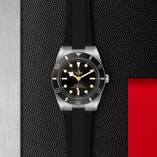 M79000N-0002 TUDOR チューダー ブラックベイ 54