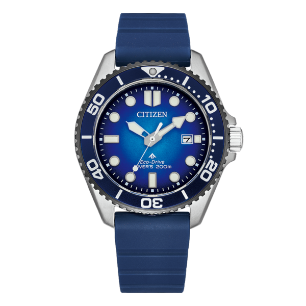 BN0267-04L CITIZEN シチズン プロマスター MARINE
