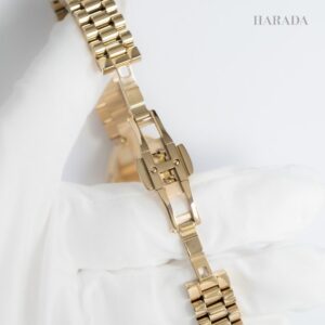 EM1203-57X CITIZEN シチズン シチズンエル RAINELL Collection
