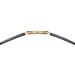 【世界限定250本】 AQ5022-02L CITIZEN シチズン エコ・ドライブ ワン