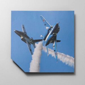 【限定500本】 CA4661-09A CITIZEN シチズン プロマスター SKY Blue Impulse 限定モデル