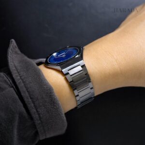 【世界限定250本】 AR5064-57L CITIZEN シチズン エコ・ドライブ ワン
