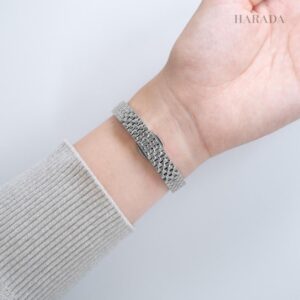 【世界限定3,500本】 EX1540-58L CITIZEN シチズン シチズンエル RAINELL Collection