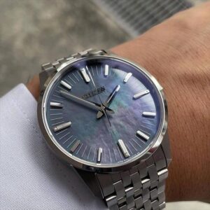 【世界限定200本】 AQ6020-53X The CITIZEN ザ・シチズン 特定店限定モデル