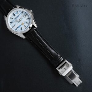【世界限定200本】 AQ4090-08A The CITIZEN ザ・シチズン 特定店限定モデル