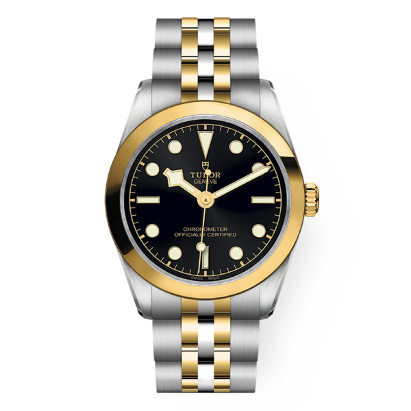M79603-0001 TUDOR チューダー ブラックベイ ワン 31 S&G