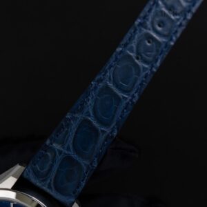 【世界限定400本】 AQ4100-22L The CITIZEN ザ・シチズン Iconic Nature Collection 「夏」 The CITIZEN30周年記念限定モデル