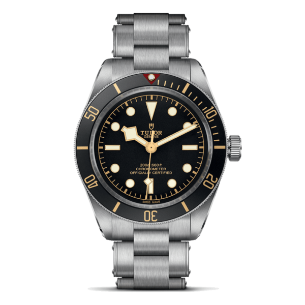 M79030N-0001 TUDOR チューダー ブラックベイ 58