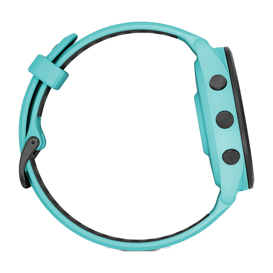 010-02810-42 GARMIN ガーミン フォアランナー 265