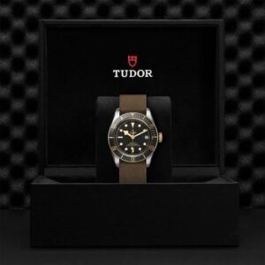 M79733N-0005 TUDOR チューダー ブラックベイ S&G