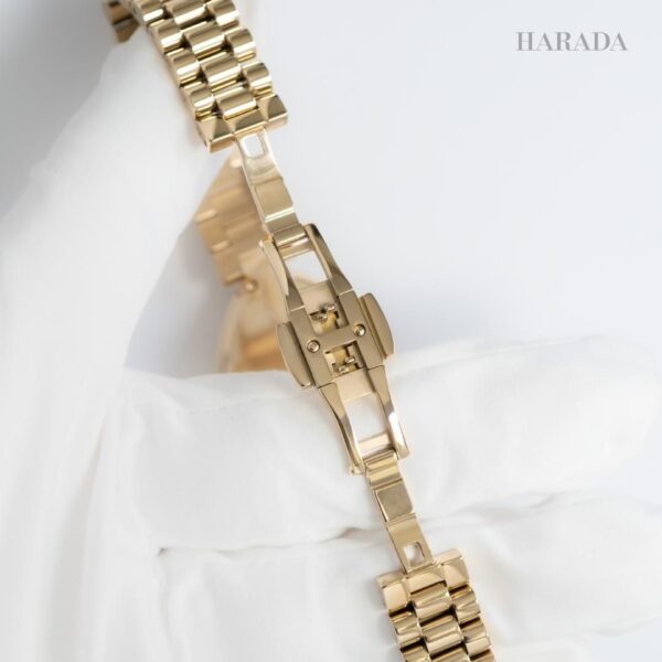 EM1203-57X CITIZEN シチズン シチズンエル RAINELL Collection